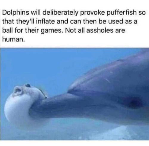 FB_IMG_1669174902271