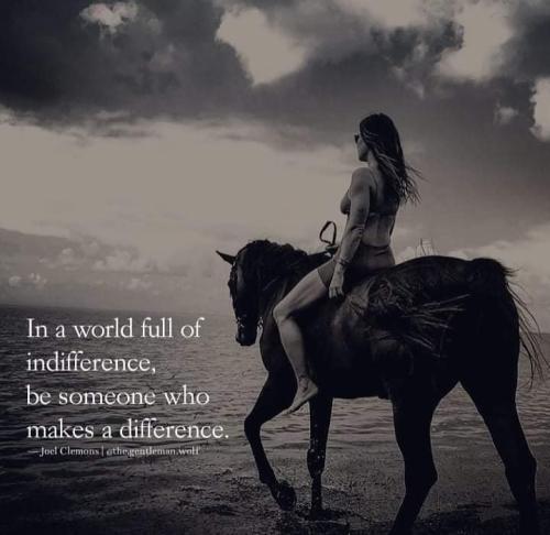 FB_IMG_1668954197949