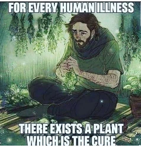 Screenshot_2022-11-17-13-59-08-36_1c337646f29875672b5a61192b9010f9