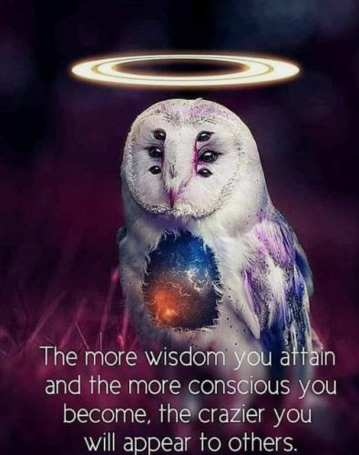 316041642_226351289719350_3085547824172856493_n