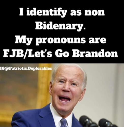 FB_IMG_1669660695539
