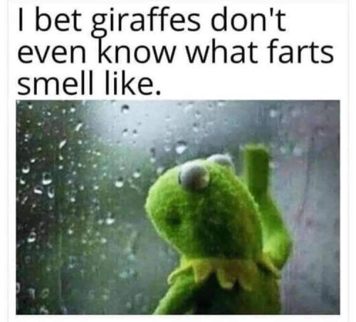 FB_IMG_1667592962514