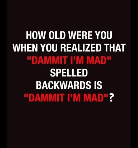 FB_IMG_1668021711329