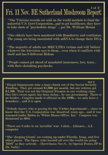 photo_2022-11-12_15-09-44