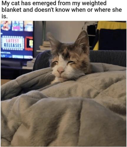 17:54:34 GMT-0500 (Eastern Standard Time).image