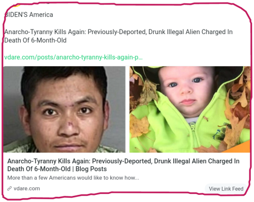 snapshot_gab.com_1669216061954