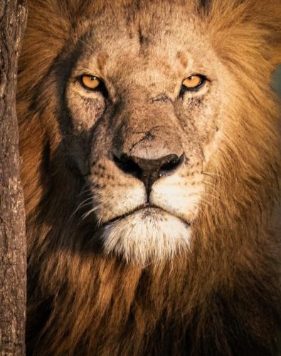 tumblr_784c94d17772b2b39d2b28ad6d99ee4c_4458dd6c_540