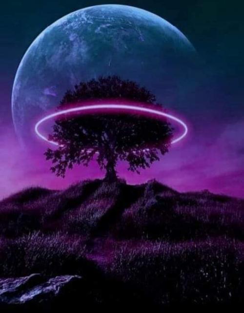 FB_IMG_1667644980104