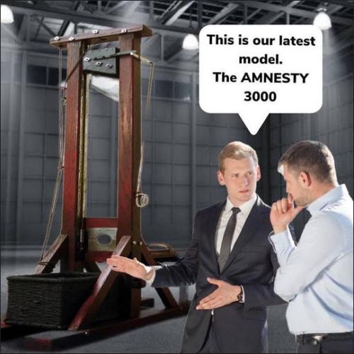 amnesty13