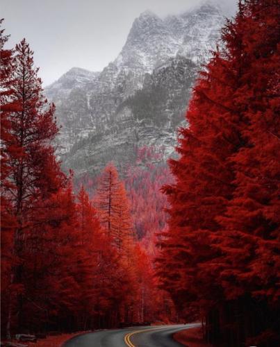 E93F11E1-7787-44E6-AAA0-8C5D29C12E09