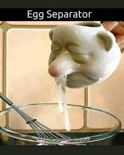 FB_IMG_1668011981509