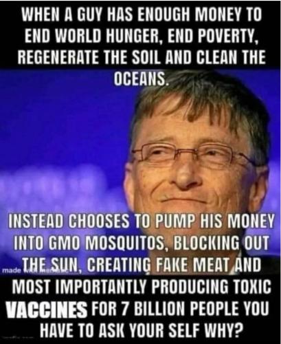 Bill Gates - Why Genocide 1