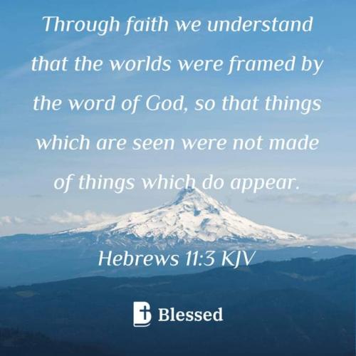 FB_IMG_1669506760796