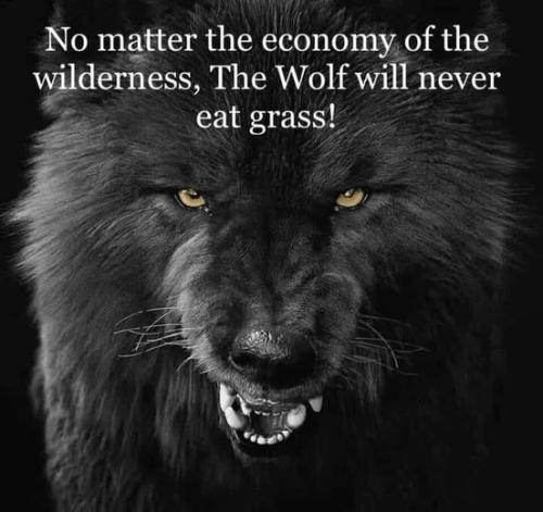 315444454_575199404613199_7274330736378982346_n