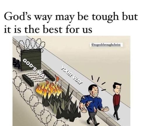 FB_IMG_1667430924074