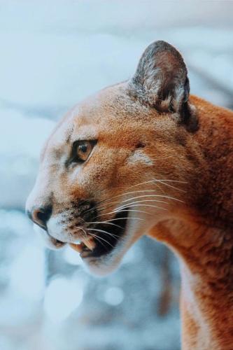 tumblr_e0371a047f2757a84cdf78a2252bbe4e_c6ce25da_540