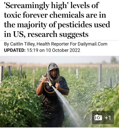 IMG_20221105_102650_386