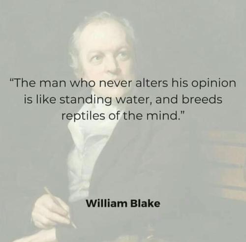 Screenshot_2022-11-11-02-16-15-75_1c337646f29875672b5a61192b9010f9