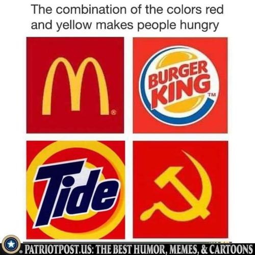 FB_IMG_1668459055829