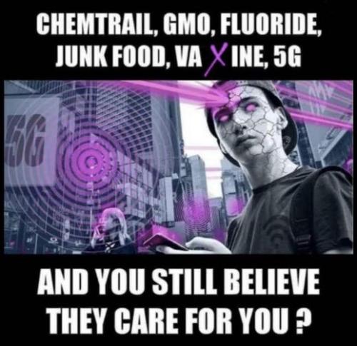 sheeple65