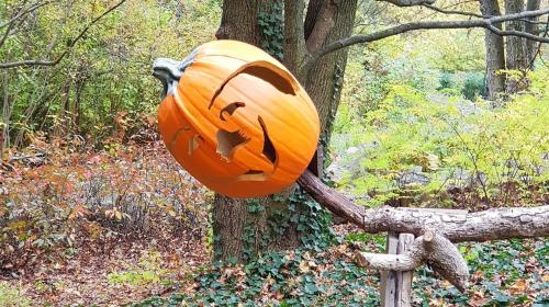 2022-11-25-09-46-21-191