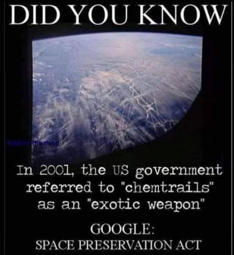 IMG_20221121_035029_142