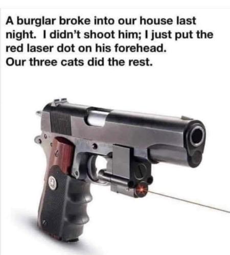 FB_IMG_1667940453423