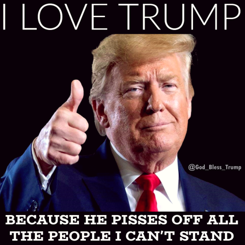 Trump 15