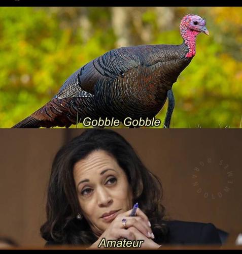 Screenshot_20221124_210248