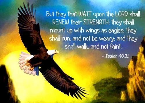 IMG_20221115_031611_960