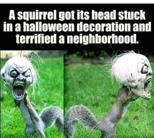 FB_IMG_1669013541226