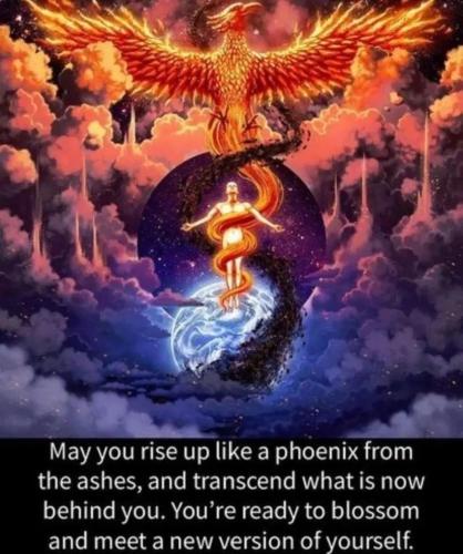 Screenshot_2022-11-11-03-30-30-73_1c337646f29875672b5a61192b9010f9