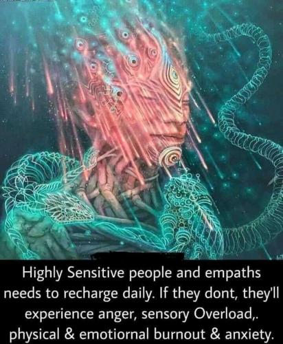 IMG_20221120_003954_818