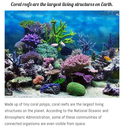 Screenshot_2022-11-07-02-46-08_kindlephoto-541288636