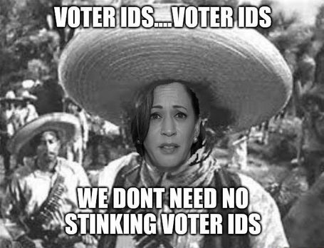 voter id06