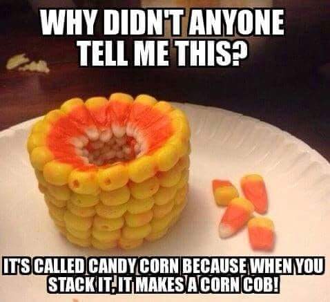 FB_IMG_1667510193030