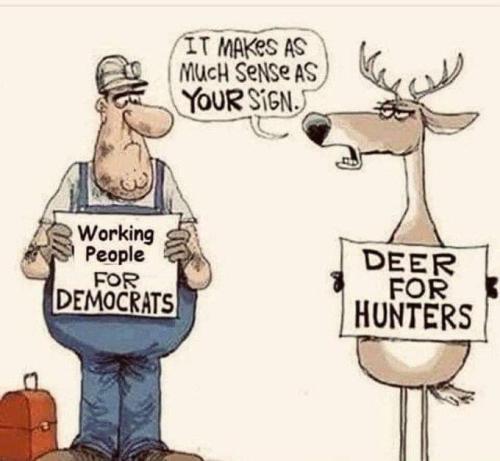 FB_IMG_1667578234841