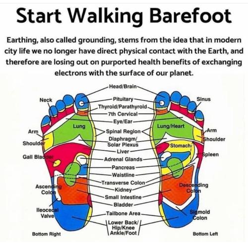 Screenshot_2022-11-07-17-38-55-59_1c337646f29875672b5a61192b9010f9