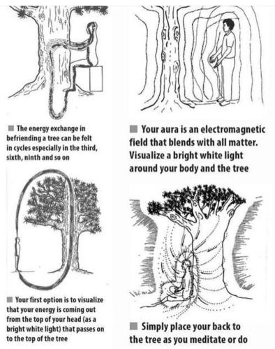 Screenshot_2022-11-11-03-26-10-74_1c337646f29875672b5a61192b9010f9