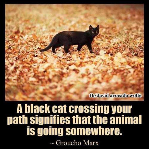 20:05:05 GMT-0500 (CDT)