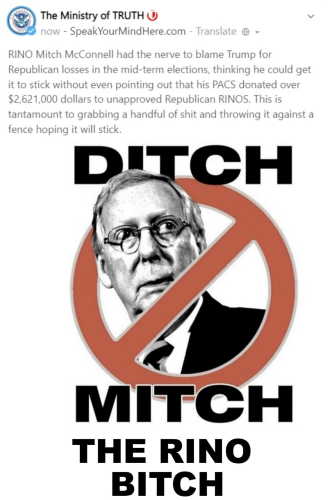 Ditch Mitch the Bitch SYMH meme MASTER COPY
