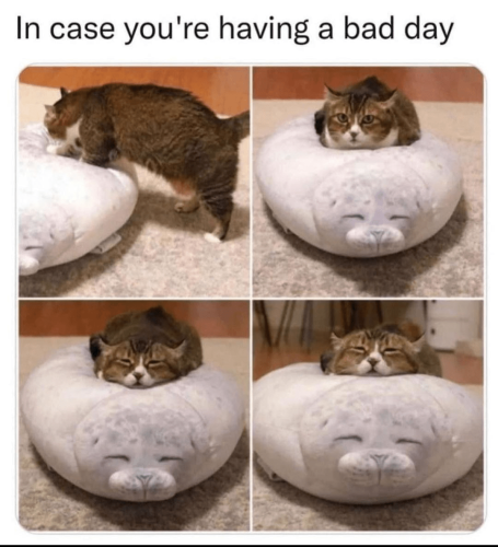 22:26:21 GMT-0500 (Eastern Standard Time).image