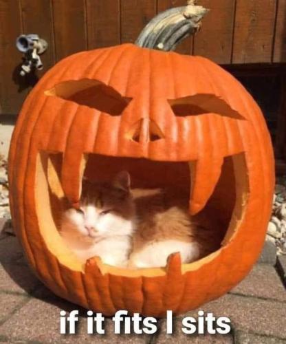 313403828_5926407177393096_5451241304402124303_n