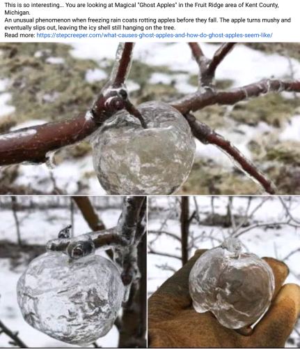 Screenshot_2022-11-15-17-54-26_kindlephoto-200863132