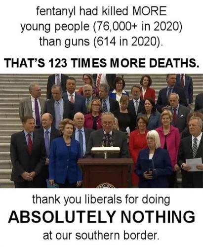 the wall249