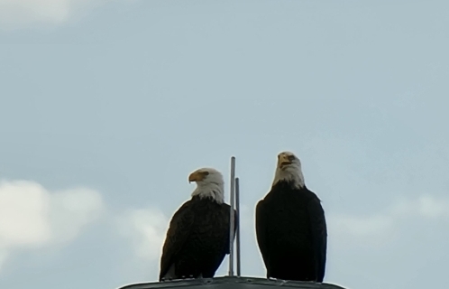 Screenshot_20221101_154847