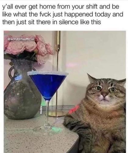 FB_IMG_1668008873383