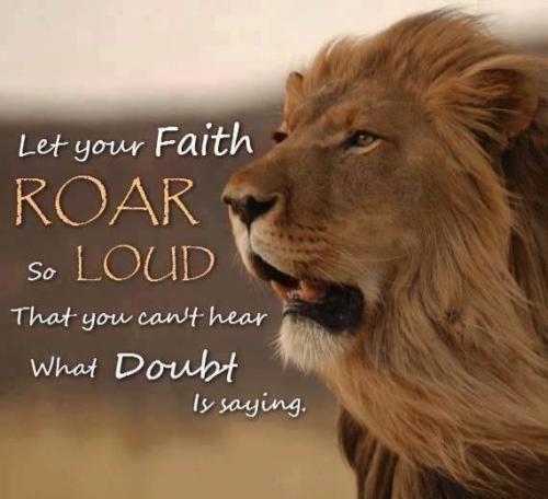 IMG_20221114_121309_245