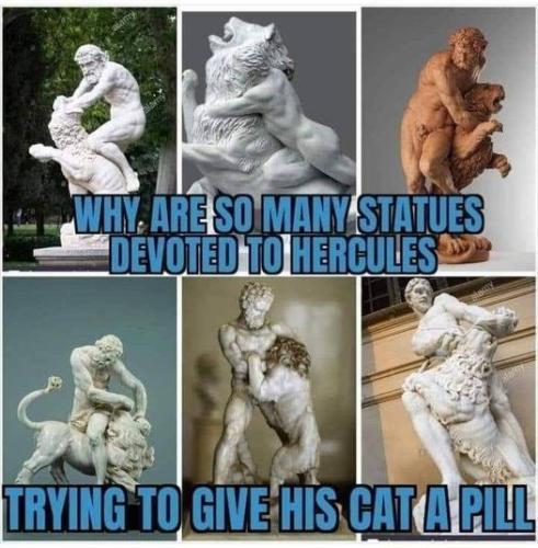 314387835_447871777531038_4793621187862925109_n