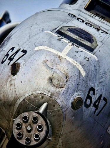 FB_IMG_1669084414662